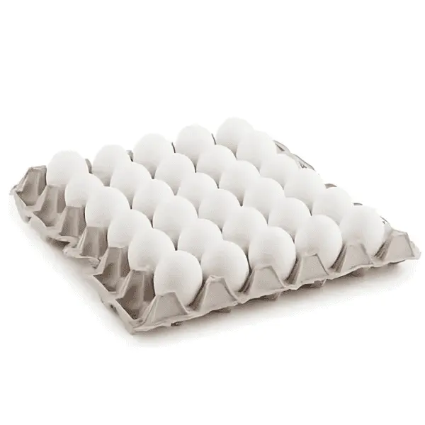 Jumbo Egg Tray 30 Pc